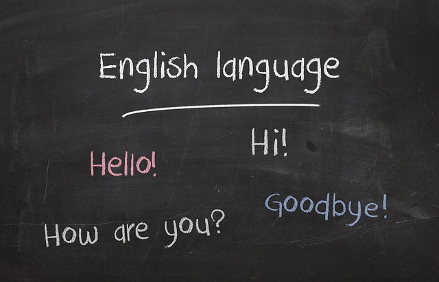 Fremdsprachen kostenlos Sprachen lernen